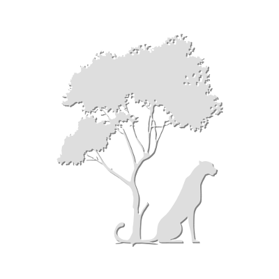 Wild Square, par Xavier E. G. Dierick